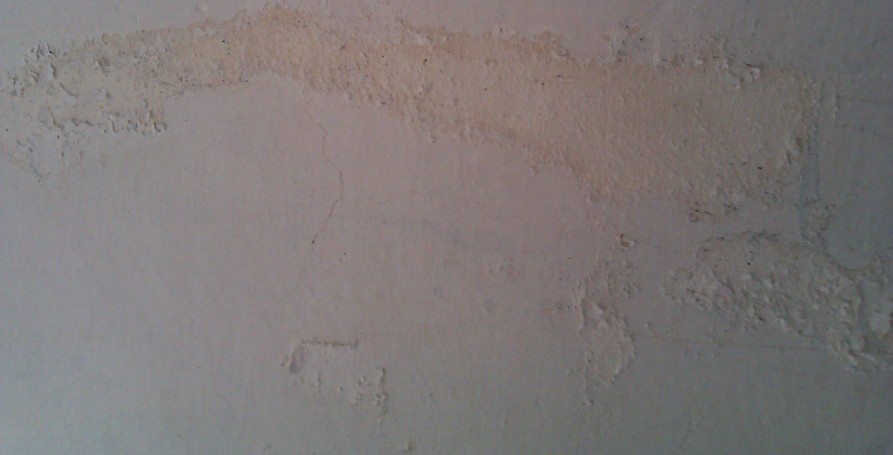 家里的墙面掉灰是什么问题呀？