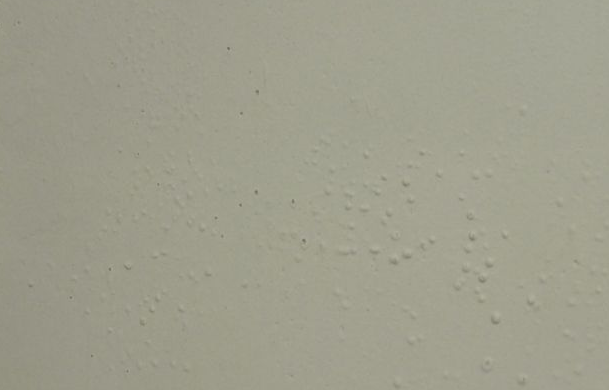 刷第二遍腻子粉，天花上出现了很多水泡，是腻子粉问题还是施工问题啊？